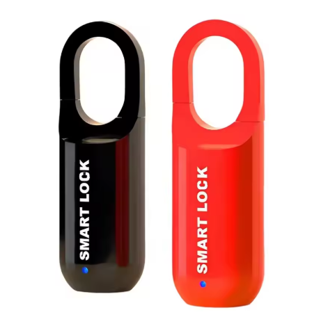 Lucchetto USB con Impronta Digitale
