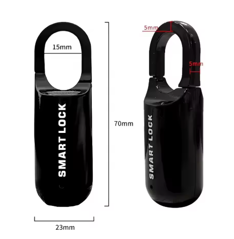 Lucchetto USB con Impronta Digitale