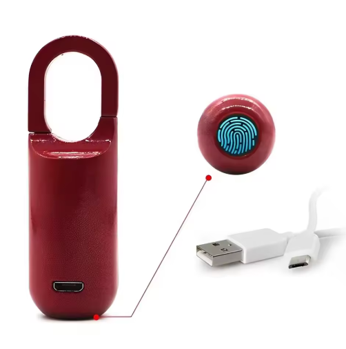 Lucchetto USB con Impronta Digitale