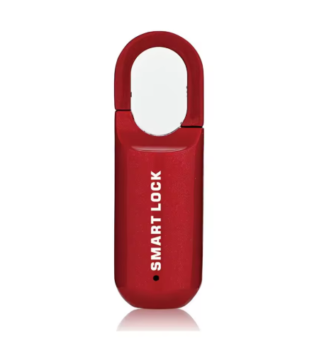 Lucchetto USB con Impronta Digitale