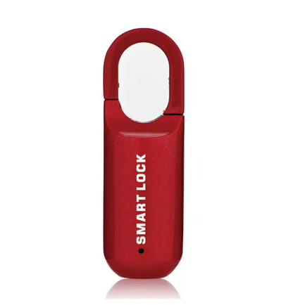 Lucchetto USB con Impronta Digitale