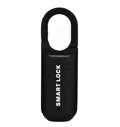 Lucchetto USB con Impronta Digitale