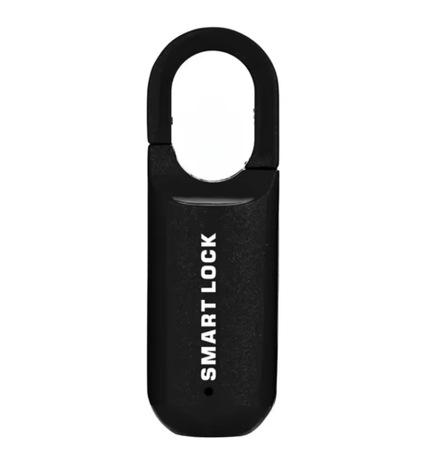 Lucchetto USB con Impronta Digitale